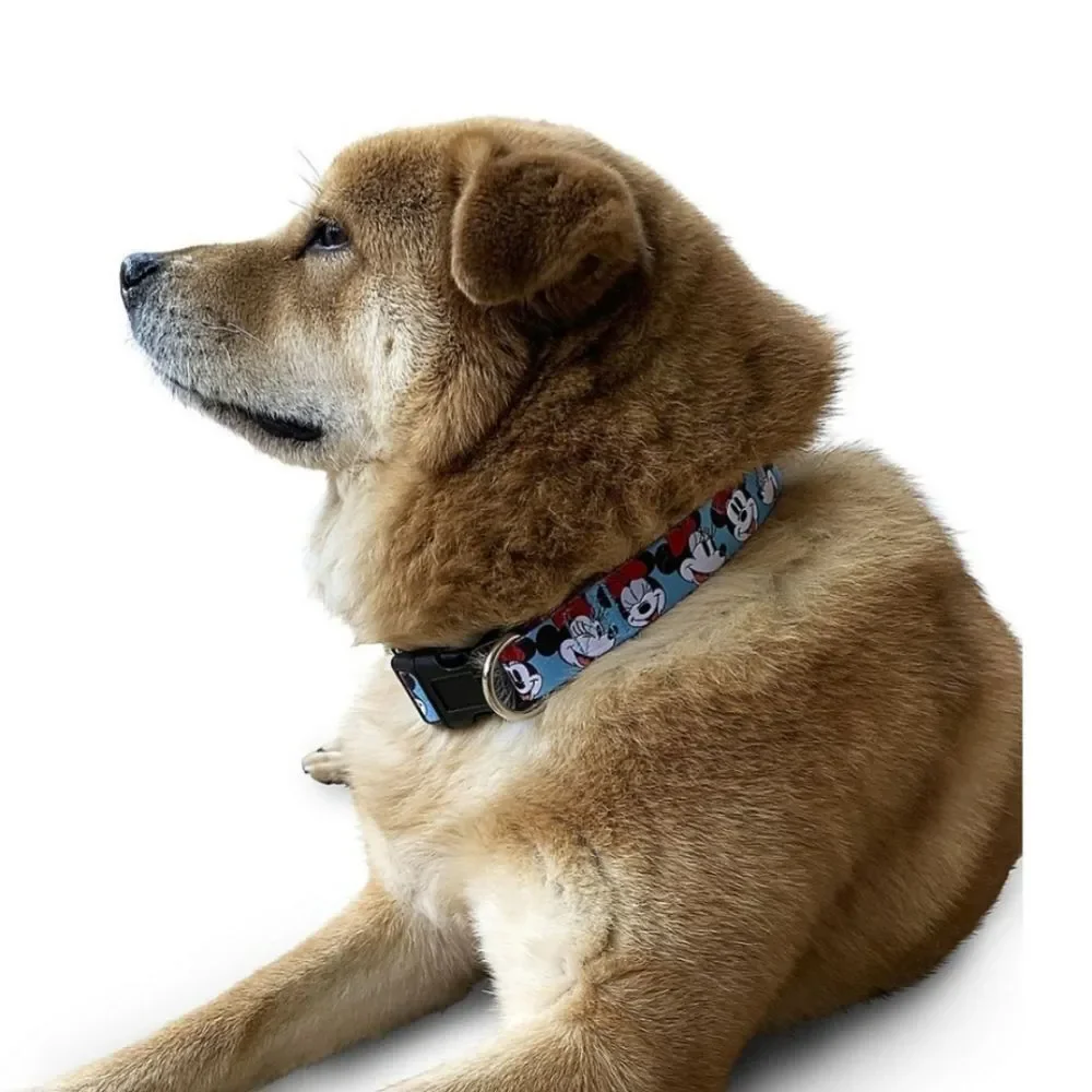Disney Mickey Mouse and Friends Minnie Mouse Dog Collar Small 9.8-15 Inch New